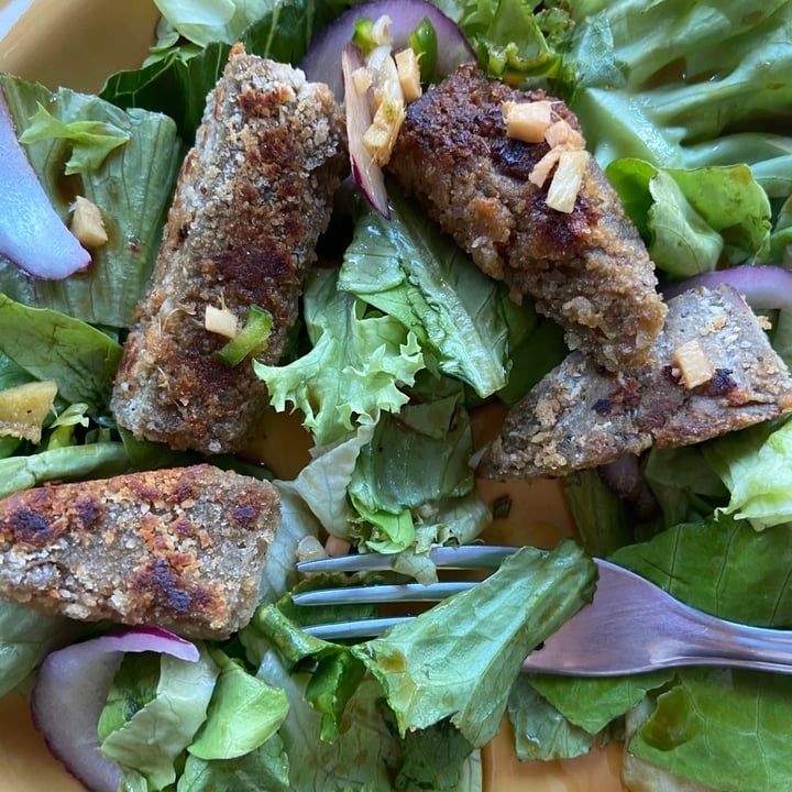 photo of Plant Squad Plant based seitan tenders no chicken shared by @moonberodd on  03 Feb 2021 - review