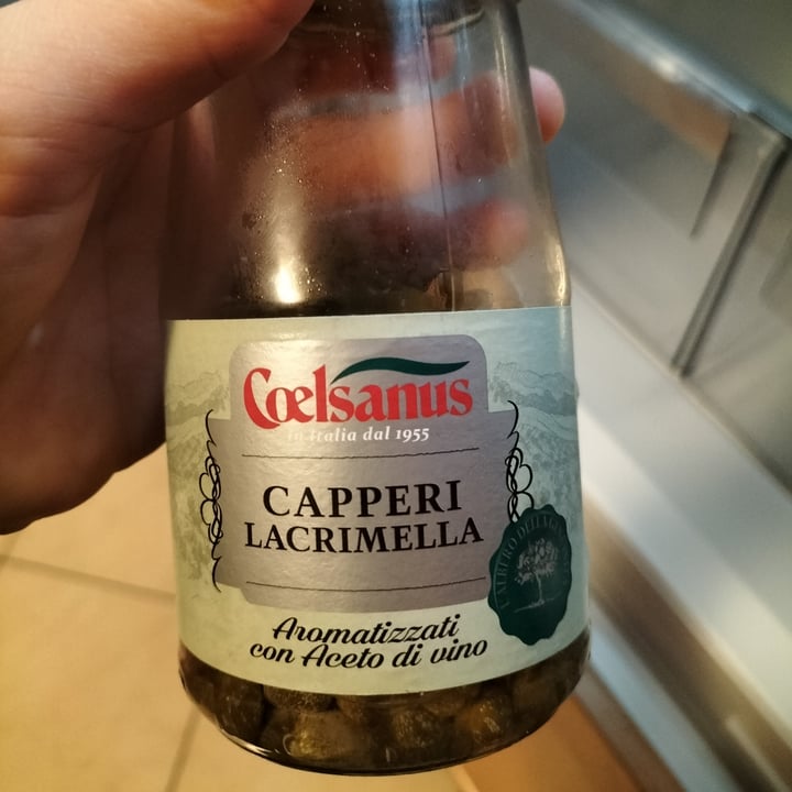 review photo of Coelsanus Capperi lacrimella shared by @elizzaa on 17 Mar 2022 - review