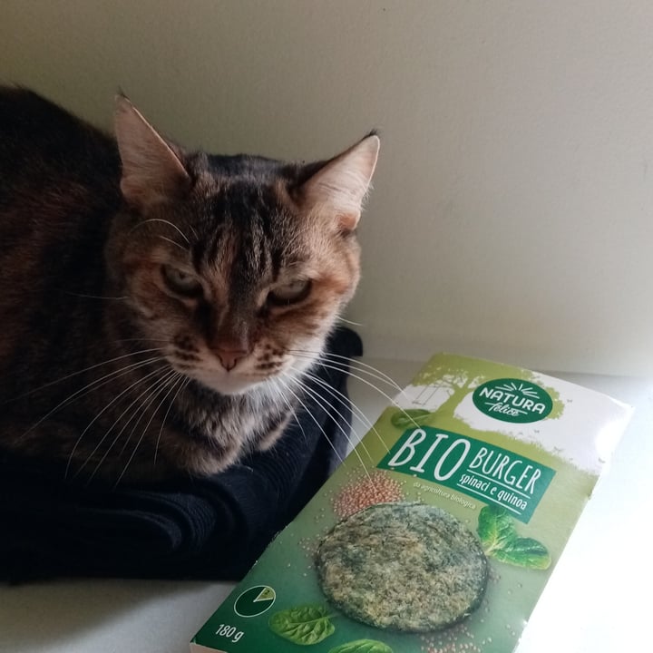 photo of Natura Felice Bio burger spinaci e quinoa shared by @valeveg75 on  08 May 2022 - review