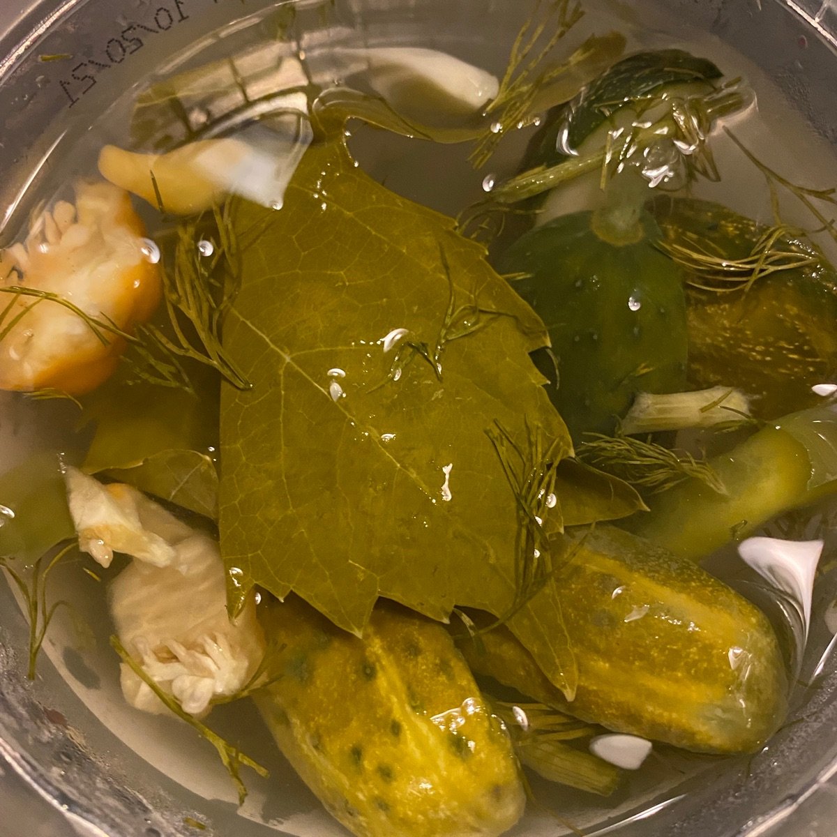 Grillo’s Pickles Hot pickle spears Reviews abillion