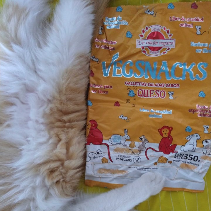 review photo of Un Rincón Vegano Vegsnacks Galletas Saladas sabor Queso shared by @fabianvegano on 24 Feb 2021 - review