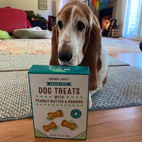 Trader joe's peanut butter dog treats cheap