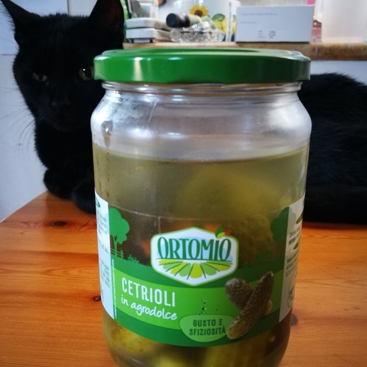 photo of Orto mio Cetrioli in agrodolce shared by @tibussina77 on  30 Jun 2022 - review