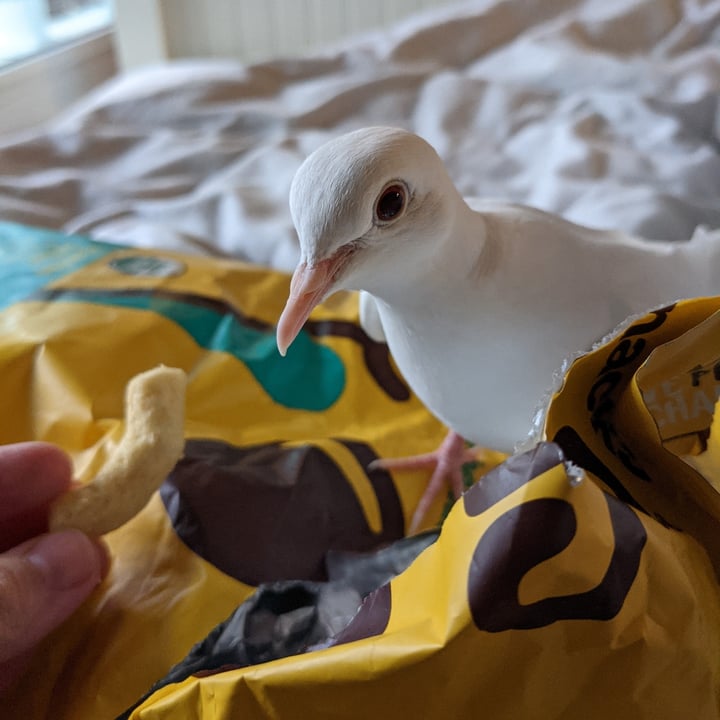 photo of Hippeas Vegan White Cheddar Organic Chickpea Puffs shared by @tuzoen on  21 Apr 2021 - review