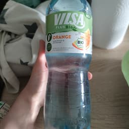 vilsa