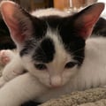 laumac89 @laumac89 profile image