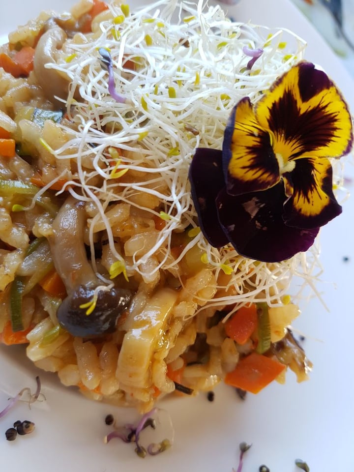 review photo of Bar Restaurante Joapira Risotto de vegetales shared by @forough on 06 Feb 2020 - review