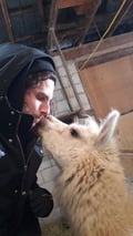 @veganmankind profile image