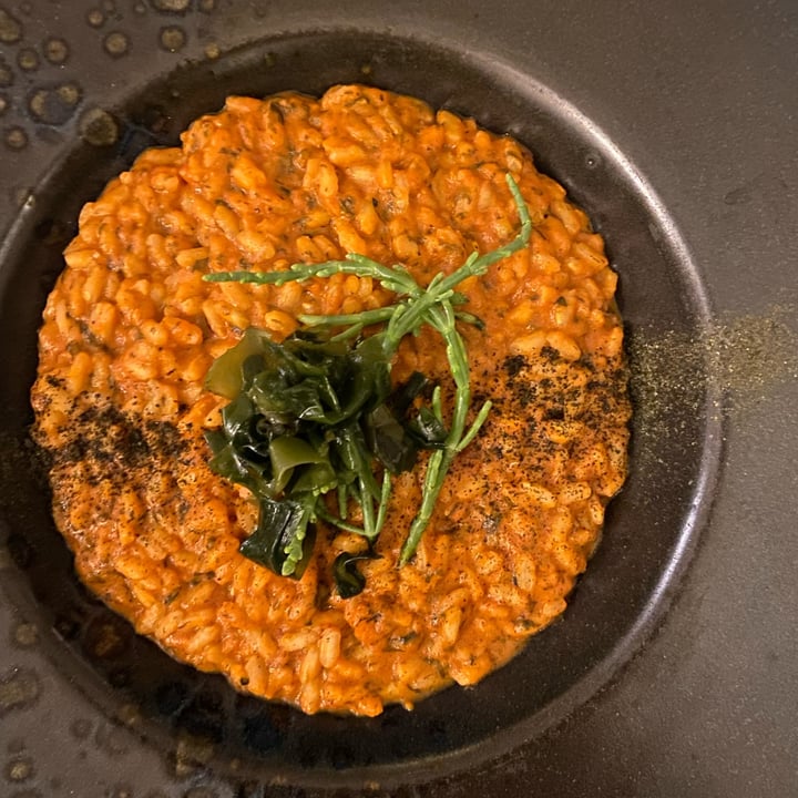 review photo of Romeow Cat Bistrot Risotto Alla Salsedine shared by @fiammetta on 12 Sep 2022 - review