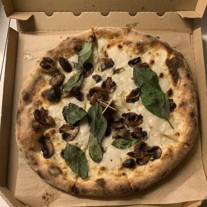 photo of Chutnej - Vegan Bistro Pizza Funghi shared by @erikah on  12 Oct 2020 - review