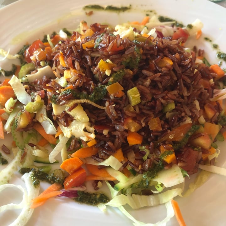review photo of Il Villino delle Rose Riso rosso in padella con verdure shared by @giulietza on 22 Jul 2022 - review