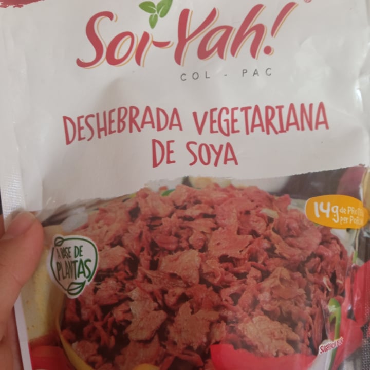 review photo of Soi-yah! Deshebrada Vegetariana shared by @aleavleon on 25 Feb 2021 - review