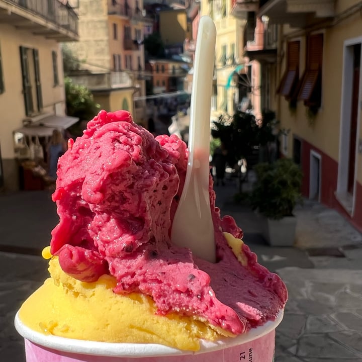 photo of Gelateria Manarola gelato mango frutti di bosco shared by @bonviknd on  25 Aug 2022 - review