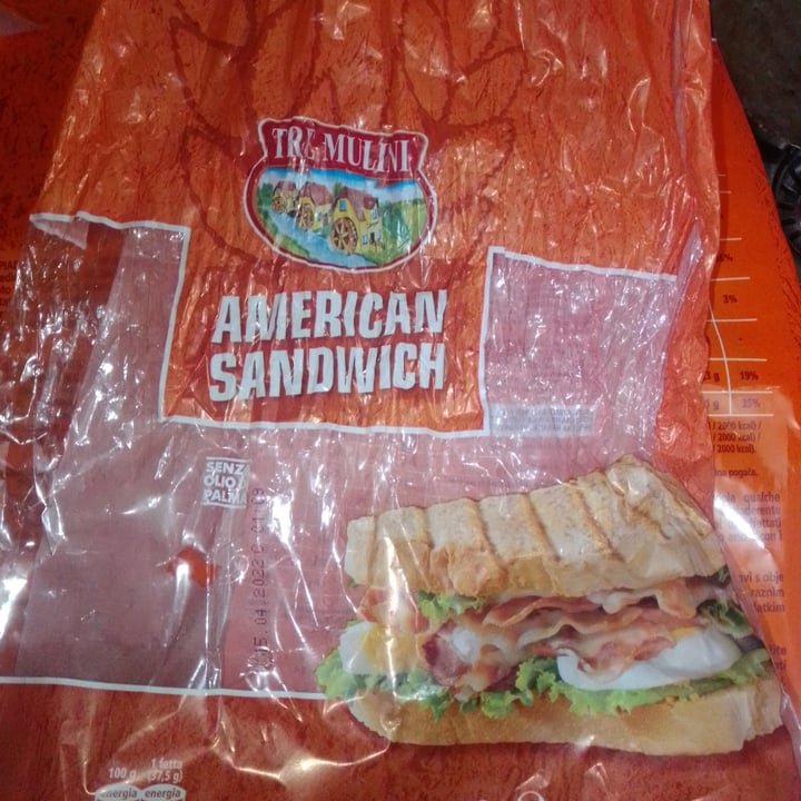 photo of Tre Mulini American sandwich shared by @shewalkedinglory on  08 Mar 2022 - review