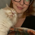 lara711 @lara711 profile image