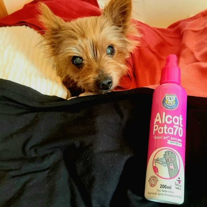 review photo of Catmypet Álcool Gel para pets shared by @selmakem on 10 May 2022 - review