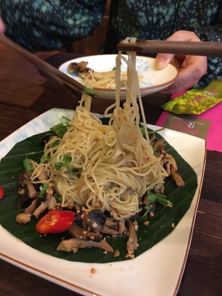 review photo of Paper Rice Vietnamese Kitchen Mushroom Noodle Salad shared by @coolbee77 on 07 Dec 2019 - review