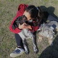 canmansi @canmansi profile image