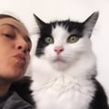 gattogaetano @gattogaetano profile image