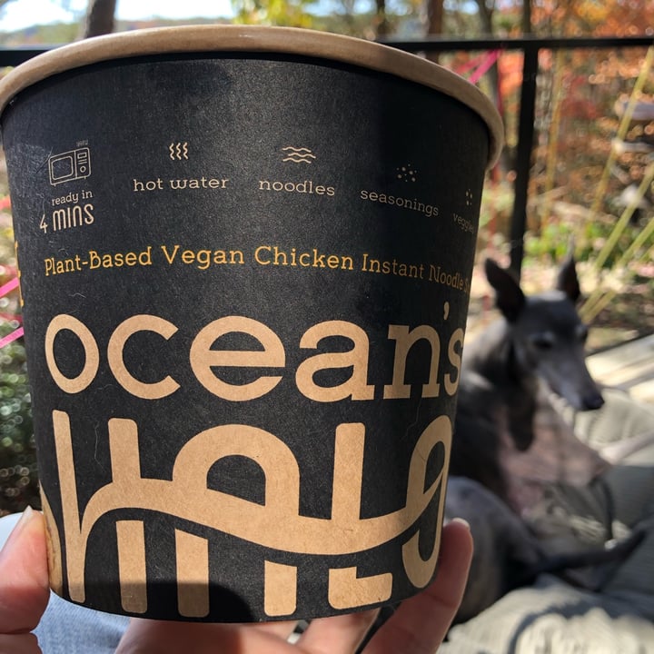 photo of Ocean's Halo Big Bowl of Noodles (Vegan Chicken Flavor) shared by @cumberlandplateaupam on  21 Oct 2022 - review