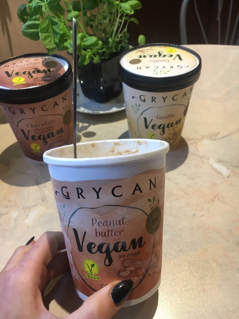 Grycan Vegan Ice Cream Reviews abillion