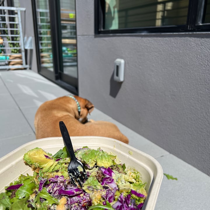 photo of sweetgreen Custom Salad Bowl shared by @rachel-miro on  27 Oct 2022 - review