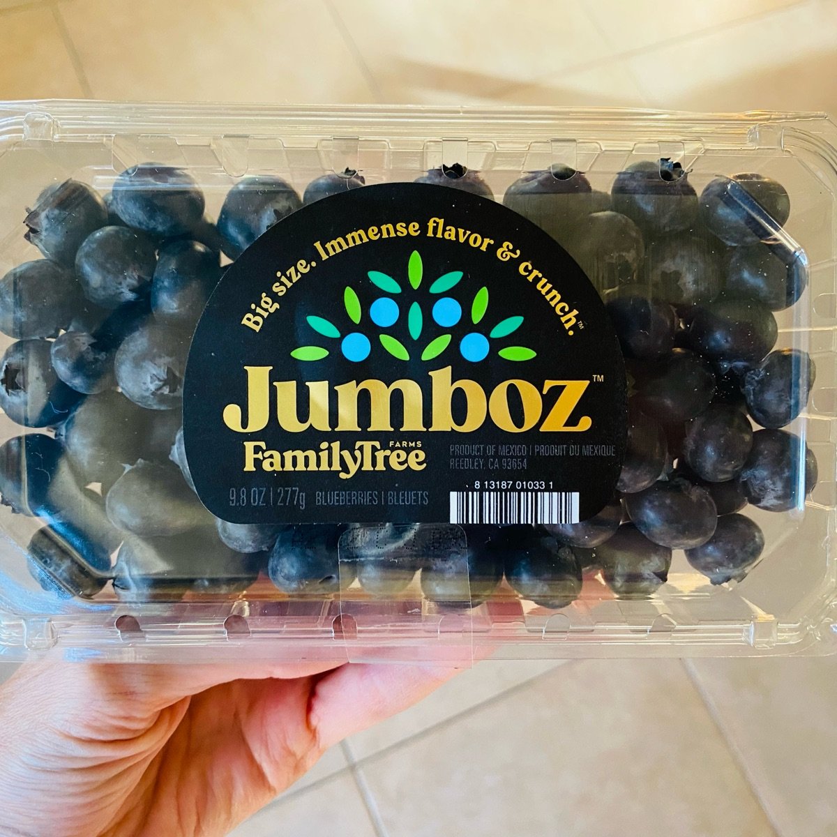 Jumbo Blueberries, 9.8 oz.