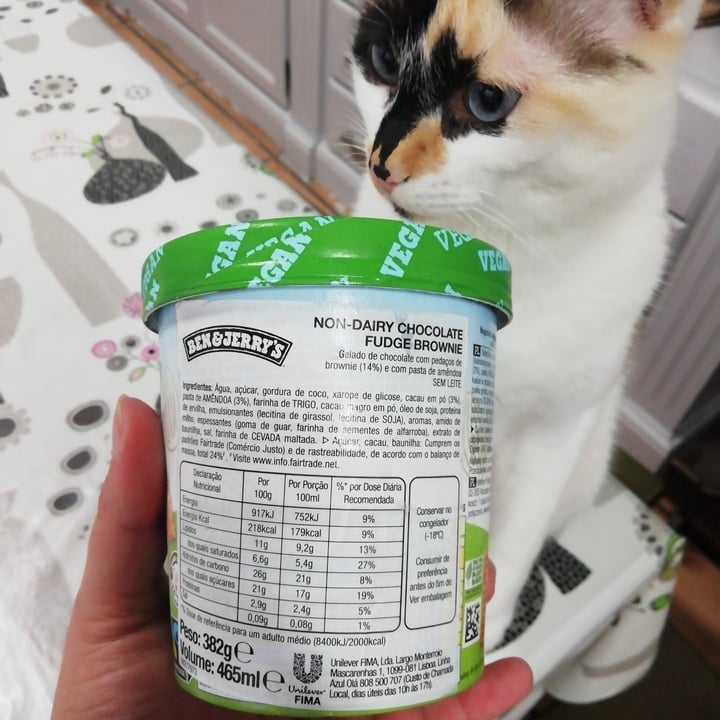 review photo of Ben & Jerry's Chocolate Fudge Brownie Non-Dairy Ice Cream shared by @anathedoglady on 05 Feb 2021 - review