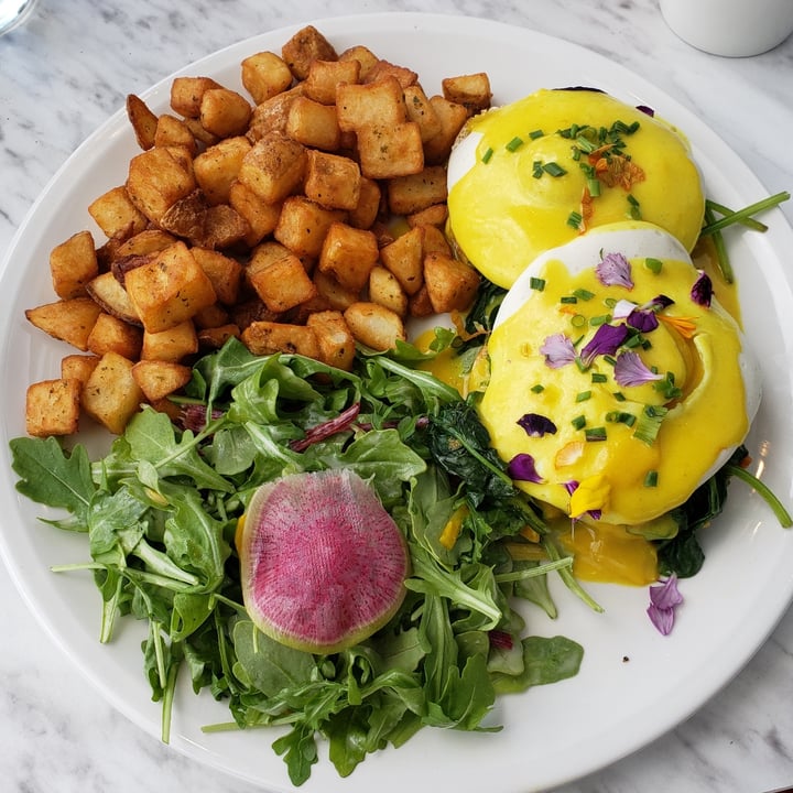photo of Evviva Breakfast & Lunch Vegan Benedict shared by @metalmel666 on  02 Aug 2022 - review