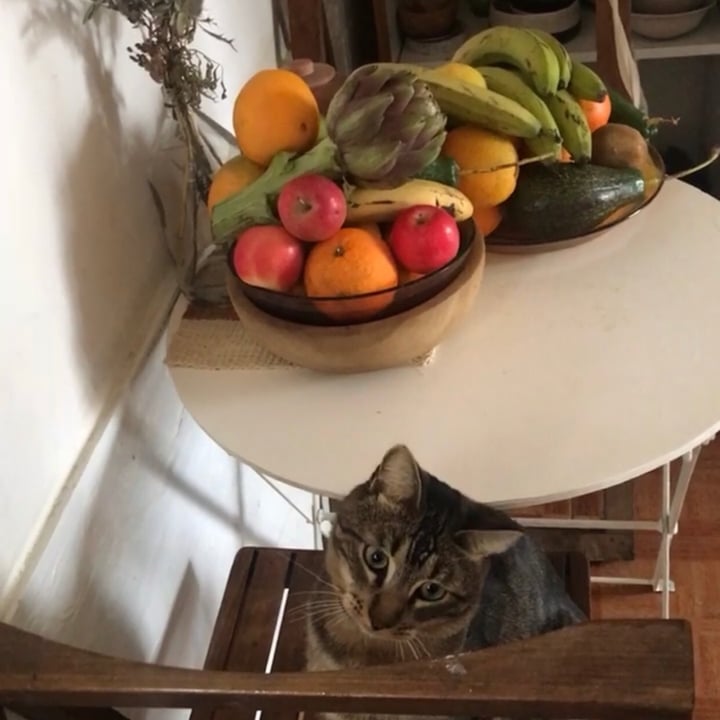 review photo of No Cualquier Verdura Frutas y Verduras Agroecologicas y Organicas shared by @marielapazizurieta on 19 Jun 2021 - review