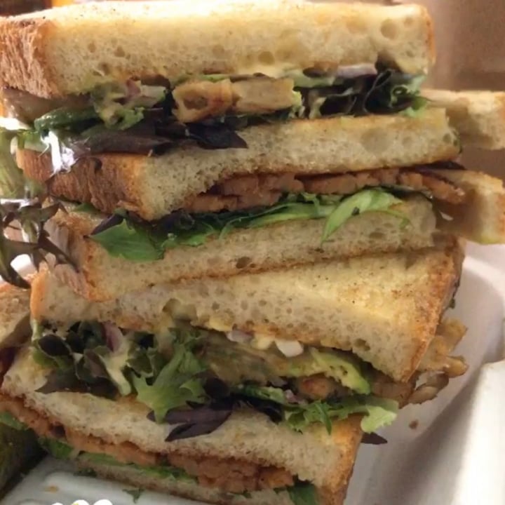 photo of The VHC Chicken Club Sandwich shared by @kendrapirson on  22 Oct 2020 - review