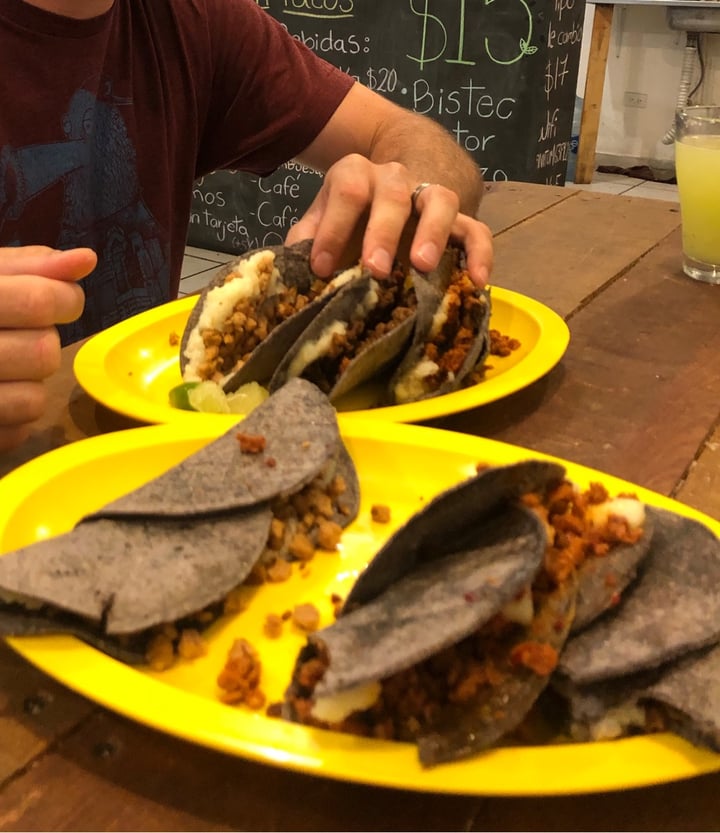 photo of Mango Blues Vegan tacos (Delivery and Pick-up) Taco de bistec shared by @emconroy on  29 Jun 2020 - review