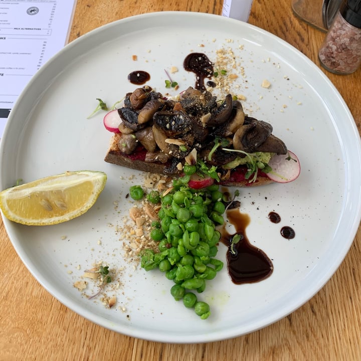 photo of Bootlegger Coffee Company Beetroot hummus Toast shared by @varivegan on  16 Sep 2021 - review