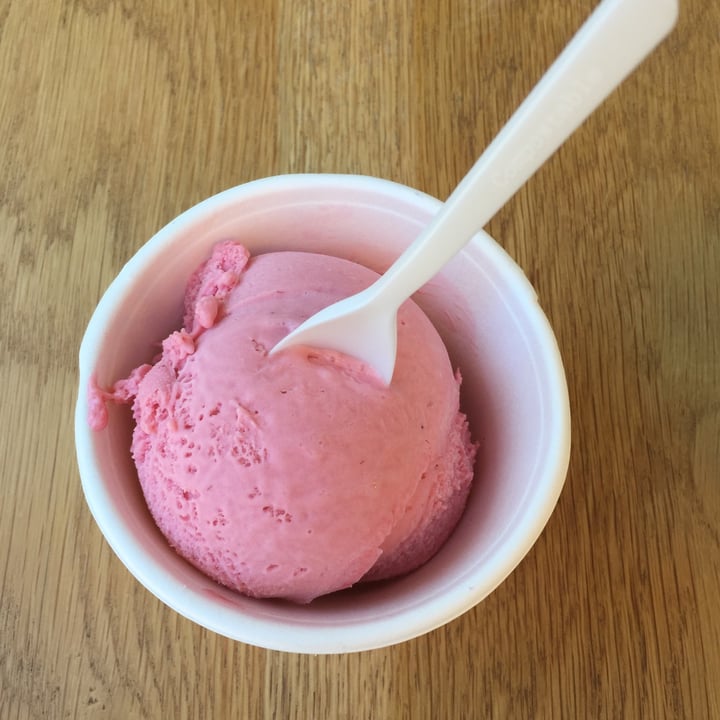 photo of Unframed Ice Cream Raspberry Coconut (vegan) shared by @thehumblechickpea on  22 May 2021 - review