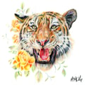 aoifemcveigh @aoifemcveigh profile image