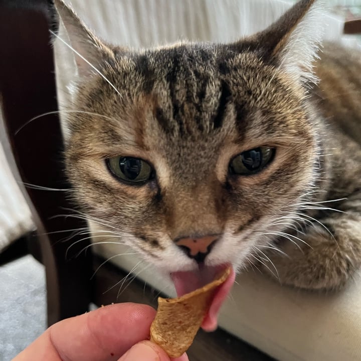 review photo of Gilli Veggie Chips shared by @robin-jay on 24 Oct 2022 - review