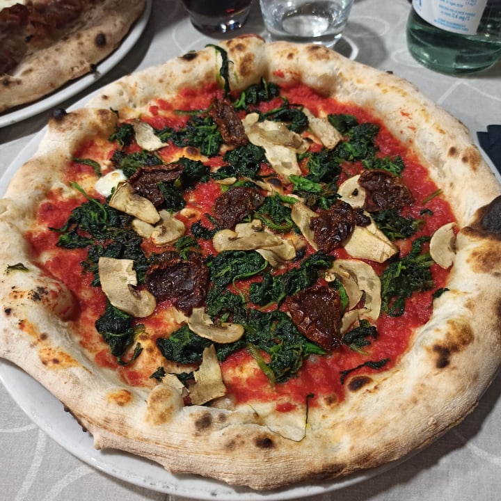 photo of Pizzeria Orchidea pizza rossa, friarielli, pomodori secchi e funghi freschi shared by @smarties on  12 Nov 2022 - review