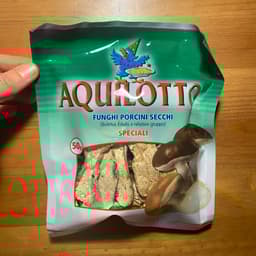 Aquilotto