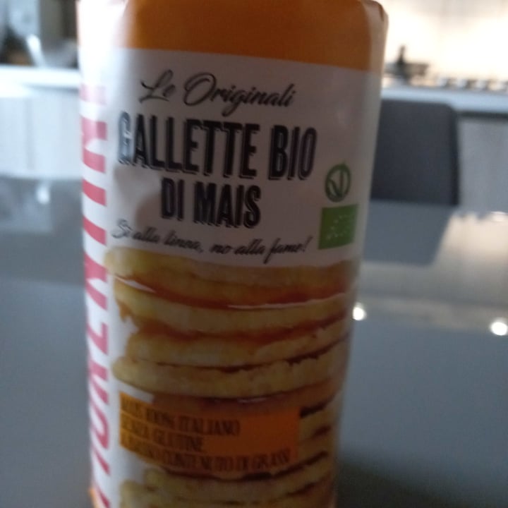 photo of Fiorentini Bio Gallette di Mais shared by @irenecivai on  28 Apr 2021 - review