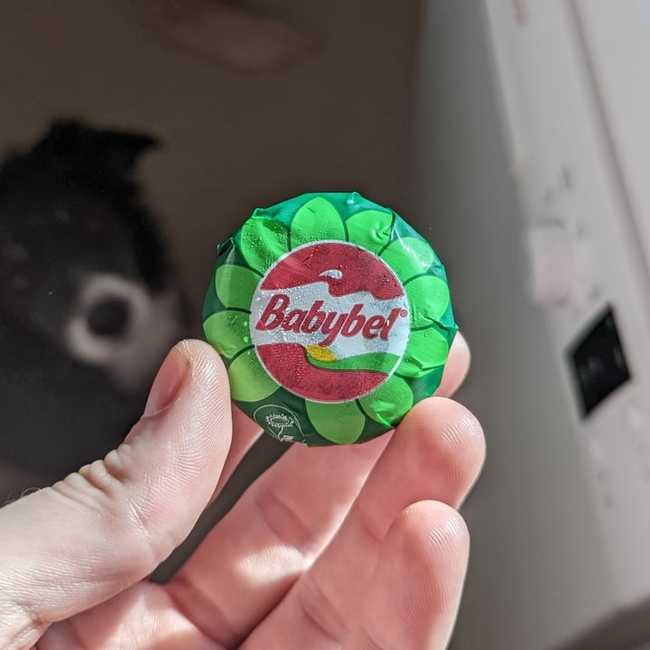 review photo of Babybel Plant-Based Cheese Alternative shared by @curnicle on 31 Oct 2022 - review