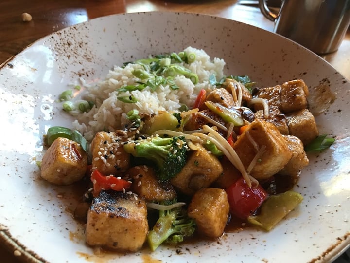review photo of Lazy Dog Teriyaki Tofu Bowl shared by @thehippiebiscuit on 24 Jan 2020 - review