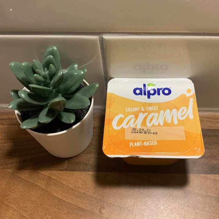 photo of Alpro Creamy & Sweet Caramel Plant-Based Dessert shared by @tattooedtilly95 on  25 Jan 2021 - review