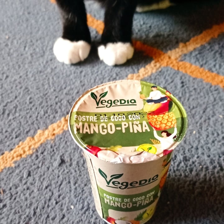 photo of Vegedia Yogur de mango-piña con bebida de coco shared by @nohemy on  19 Aug 2022 - review