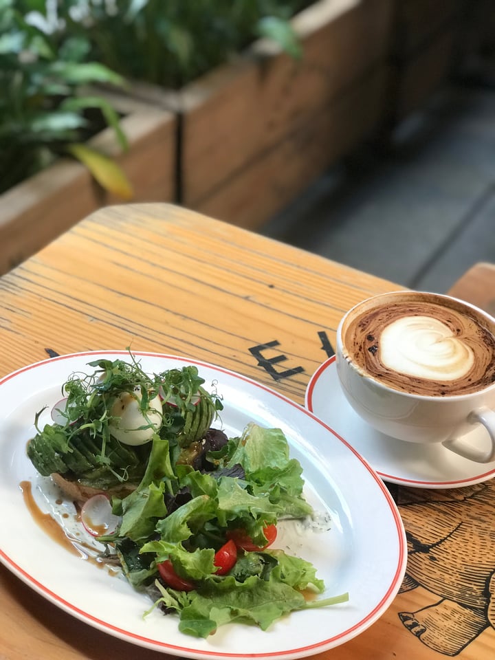photo of Elephant Grounds Causeway Bay Avocado Toast shared by @govegwithcora on  24 Jan 2018 - review