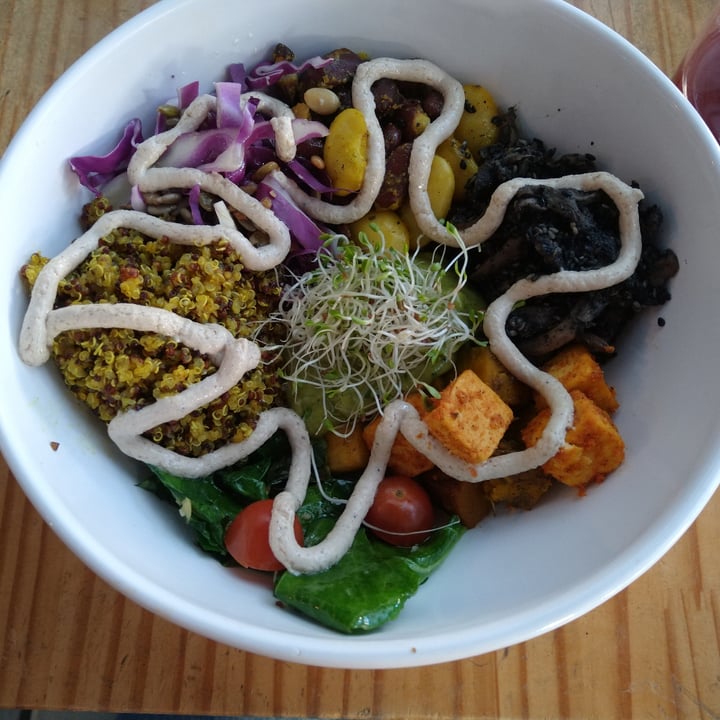 photo of Purana.Co Bali Bowl shared by @anahorta on  20 Jun 2022 - review