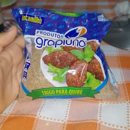 Incamilho