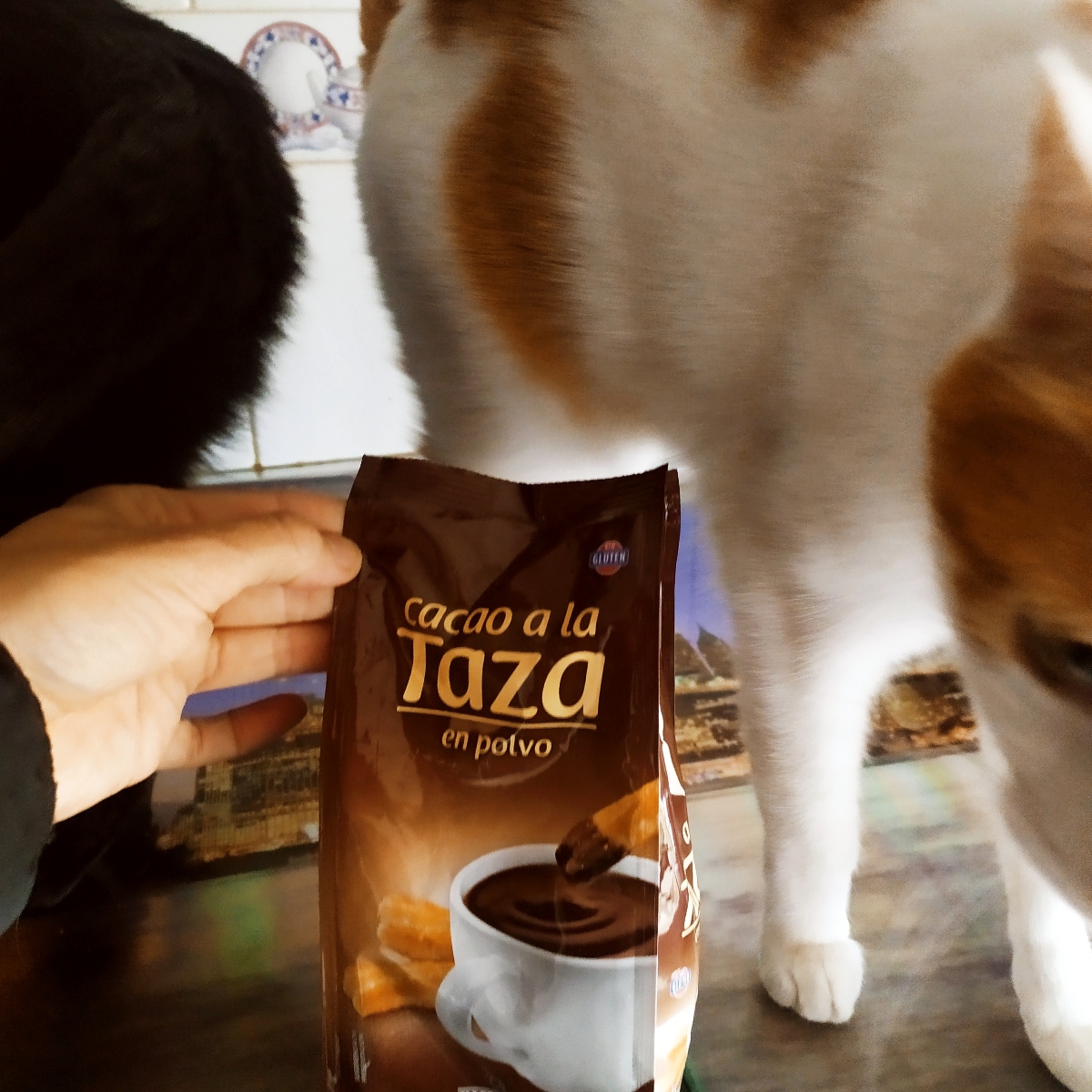 Hacendado Cacao en polvo Reviews abillion