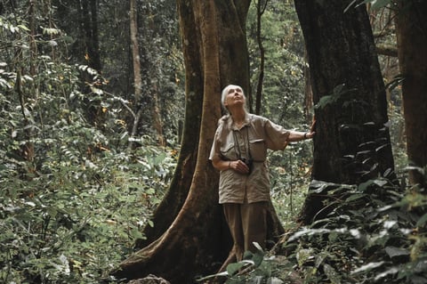 Jane Goodall wants to plant one trillion trees by 2030