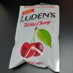 Ludens