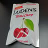 Ludens